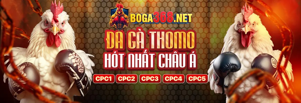 Tin tức mới nhất từ E88Đăng Nhập